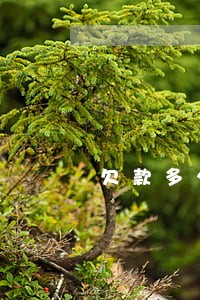欠款多少钱逾期不还会坐牢 欠款多少钱逾期不还会坐牢