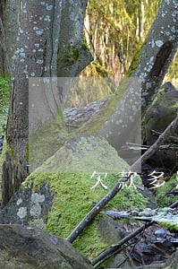 欠款多没有逾期信用会影响吗 欠款多没有逾期信用会影响吗