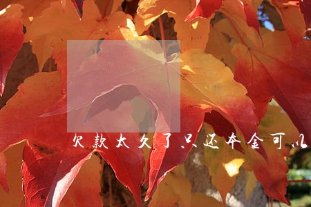 欠款太久了只还本金可以吗