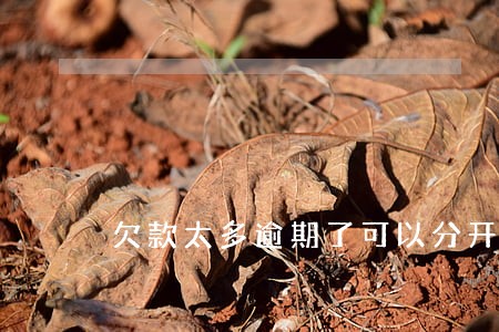 欠款太多逾期了可以分开还贷 欠款太多逾期了可以分开还贷
