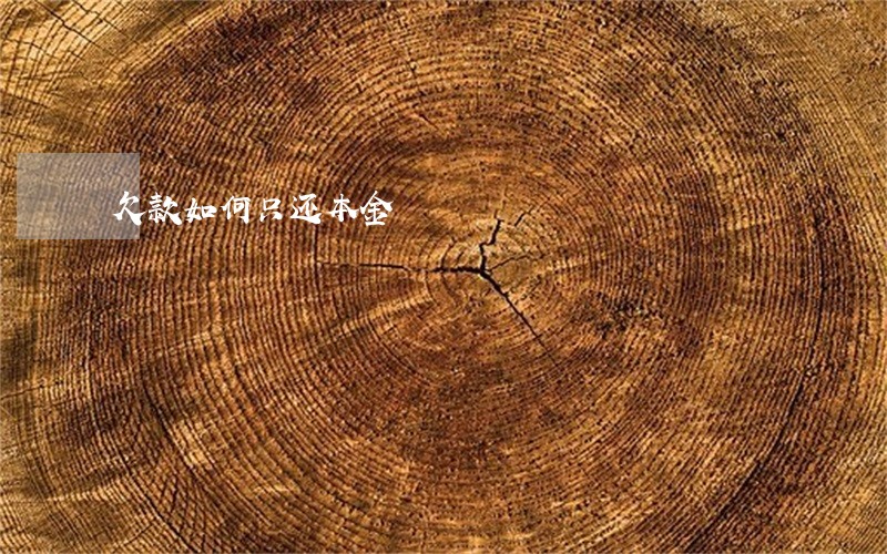 欠款如何只还本金 欠款如何只还本金