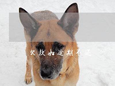 欠款如逾期不还 欠款如逾期不还