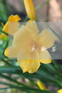 欠款客户逾期后不承认是本人 欠款客户逾期后不承认是本人