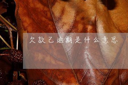 欠款己逾期是什么意思 欠款己逾期是什么意思