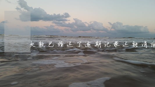 欠款已经还了逾期记录还能消除吗 欠款已经还了逾期记录还能消除吗