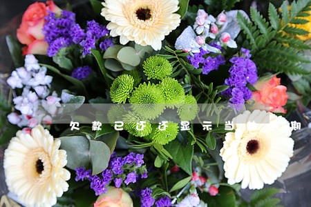 欠款已还还显示当前逾期 欠款已还还显示当前逾期