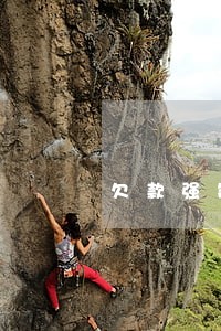 欠款强制执行中还有逾期利息吗 欠款强制执行中还有逾期利息吗
