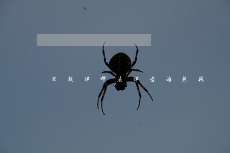 欠款律师法律咨询热线 欠款律师法律咨询热线