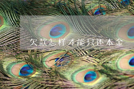 欠款怎样才能只还本金 欠款怎样才能只还本金