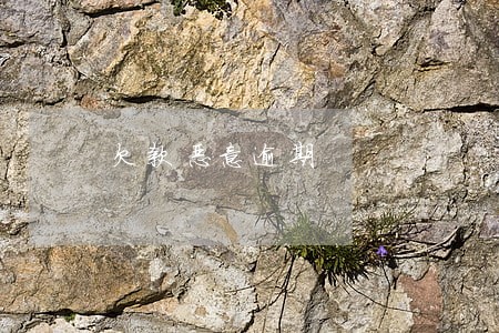 欠款恶意逾期