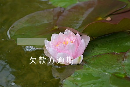欠款方逾期