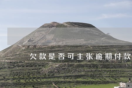 欠款是否可主张逾期付款损失 欠款是否可主张逾期付款损失