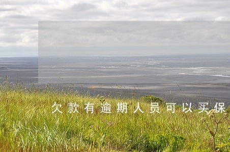 欠款有逾期人员可以买保险吗 欠款有逾期人员可以买保险吗