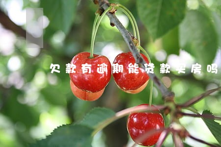 欠款有逾期能贷款买房吗 欠款有逾期能贷款买房吗