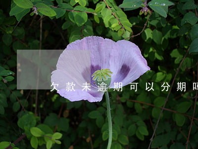 欠款未逾期可以分期吗 欠款未逾期可以分期吗