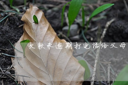 欠款未逾期打电话给父母合法吗 欠款未逾期打电话给父母合法吗