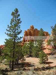 欠款没有逾期可以当兵吗