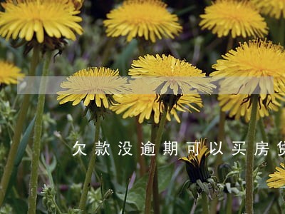 欠款没逾期可以买房贷款吗 欠款没逾期可以买房贷款吗