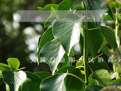 欠款没逾期可以协商分期吗 欠款没逾期可以协商分期吗