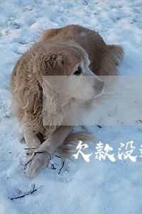 欠款没逾期怎么办
