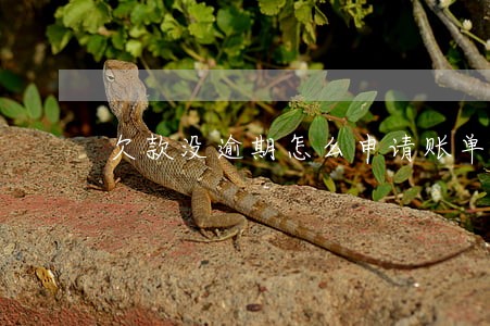 欠款没逾期怎么申请账单分期 欠款没逾期怎么申请账单分期