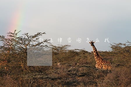欠款法律咨询怎么找 欠款法律咨询怎么找