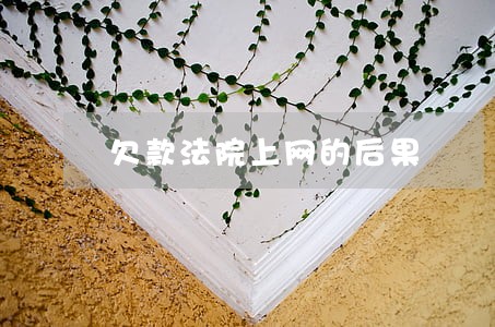 欠款法院上网的后果 欠款法院上网的后果