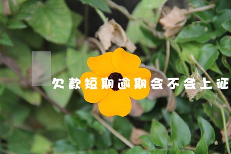 欠款短期逾期会不会上征信 欠款短期逾期会不会上征信