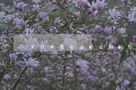 欠款索要合法的逾期利息 欠款索要合法的逾期利息