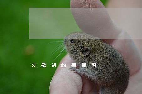 欠款纠纷律师网