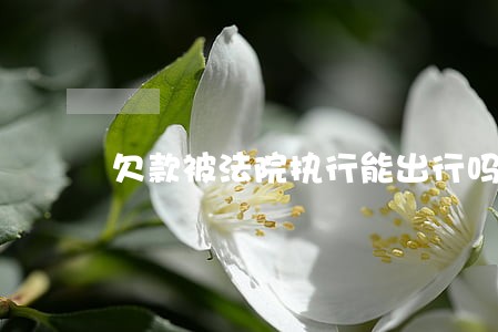 欠款被法院执行能出行吗