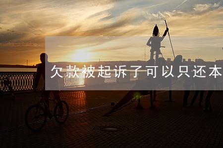 欠款被起诉了可以只还本金吗 欠款被起诉了可以只还本金吗