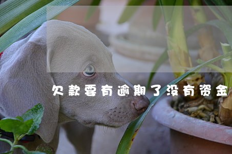 欠款要有逾期了没有资金了 欠款要有逾期了没有资金了