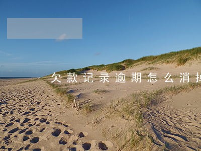 欠款记录逾期怎么消掉 欠款记录逾期怎么消掉