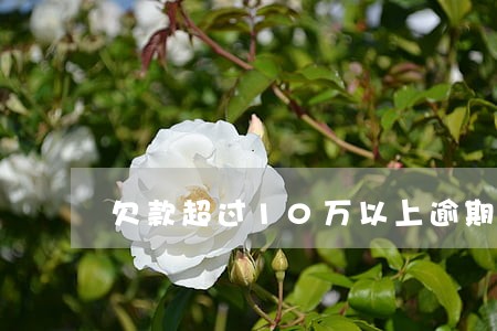 欠款超过10万以上逾期 欠款超过10万以上逾期
