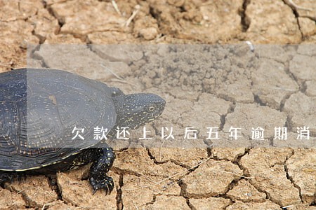 欠款还上以后五年逾期消除 欠款还上以后五年逾期消除