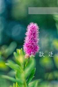 欠款还剩一点逾期 欠款还剩一点逾期