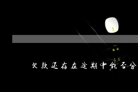 欠款还存在逾期中能否分期买车 欠款还存在逾期中能否分期买车