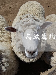 欠款违约逾期利息的计算标准 欠款违约逾期利息的计算标准