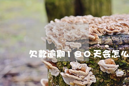 欠款逾期180天会怎么样 欠款逾期180天会怎么样