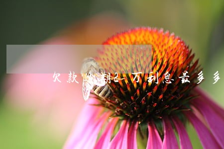 欠款逾期2万利息最多多少