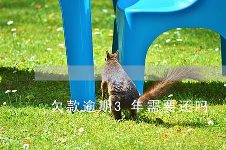 欠款逾期3年需要还吗 欠款逾期3年需要还吗