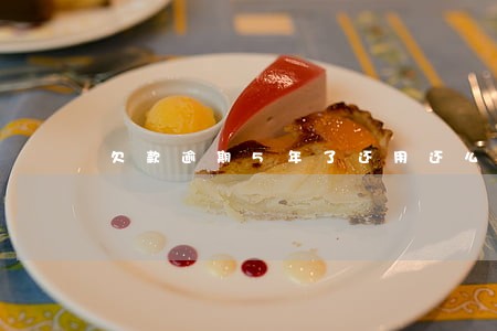 欠款逾期5年了还用还么 欠款逾期5年了还用还么