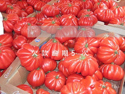 欠款逾期5次