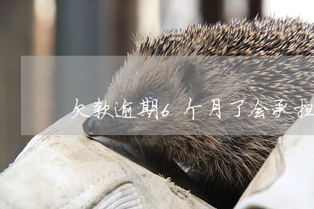 欠款逾期6个月了会承担什么后果 欠款逾期6个月了会承担什么后果
