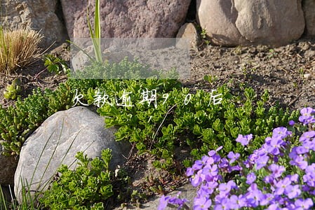欠款逾期90后 欠款逾期90后