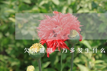欠款逾期一万多发生什么状况