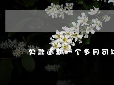 欠款逾期一个多月可以坐火车吗 欠款逾期一个多月可以坐火车吗