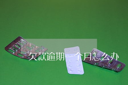 欠款逾期一个月怎么办 欠款逾期一个月怎么办