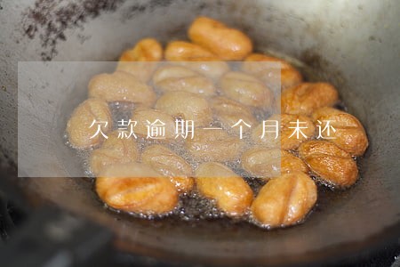 欠款逾期一个月未还 欠款逾期一个月未还